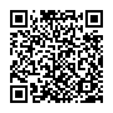 QR code for plate 293 ZJS