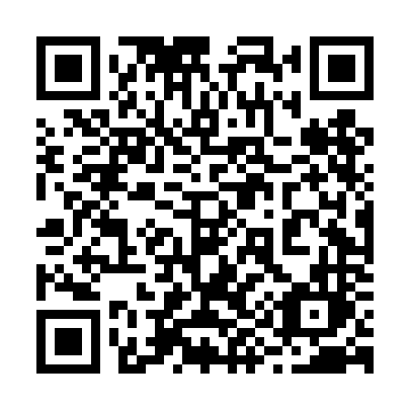 QR code for 294 DNL