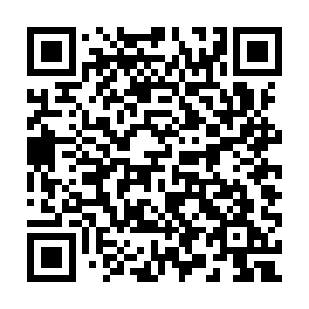 QR code for 294 IQG