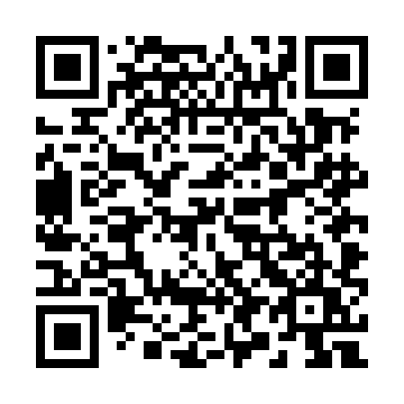 QR code for 294 MHU