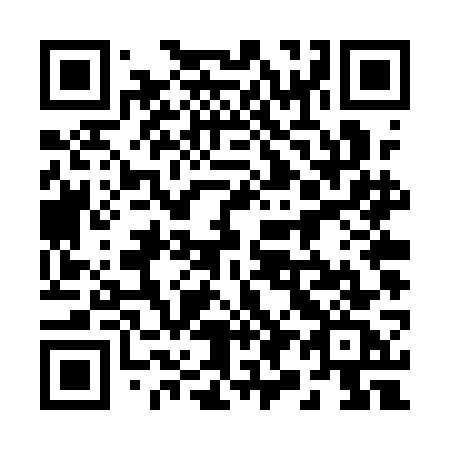 QR code for 294 QGC