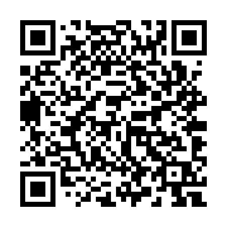 QR code for 294 QYP