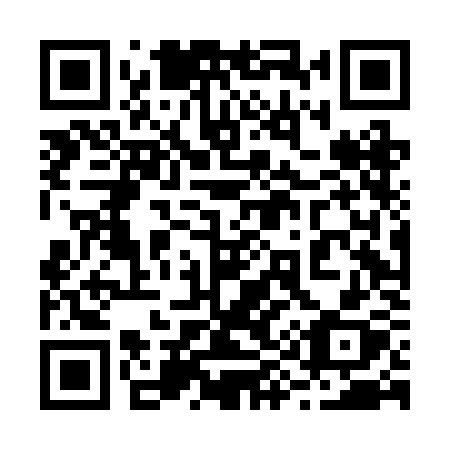 QR code for plate 294 BKX