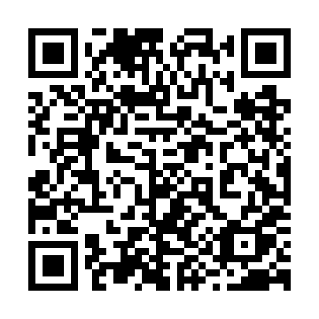 QR code for plate 294 GHQ