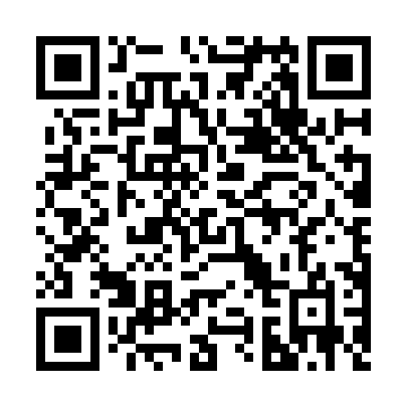 QR code for plate 294 KHO