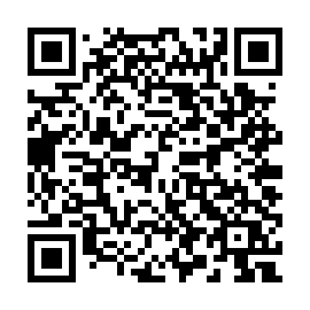 QR code for plate 294 PTQ