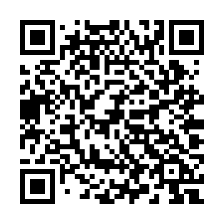 QR code for plate 294 RJF