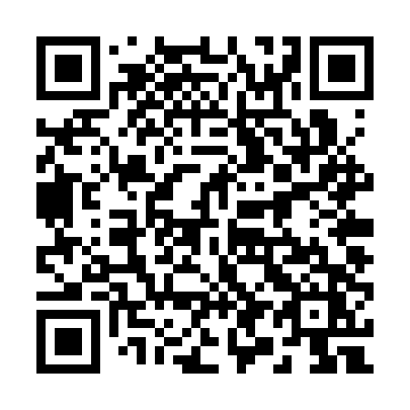 QR code for plate 294 STZ