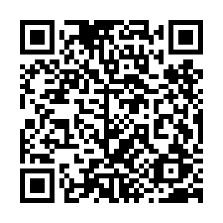 QR code for 295 DBR