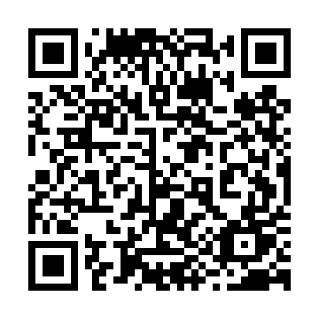 QR code for 295 DUT