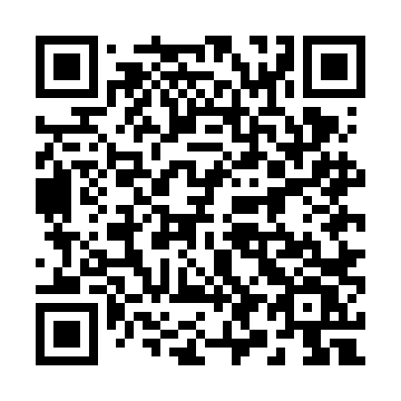 QR code for 295 FLV