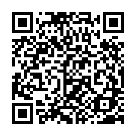 QR code for 295 HLI