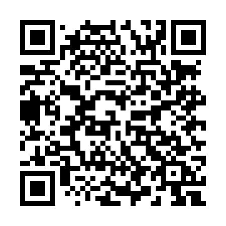 QR code for 295 LGC