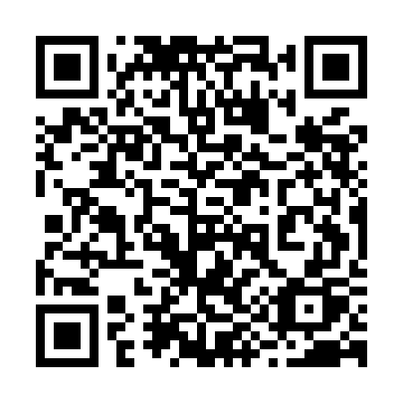 QR code for 295 MGP
