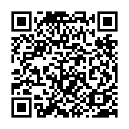 QR code for 295 NAQ
