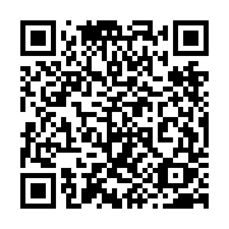 QR code for 295 NDY