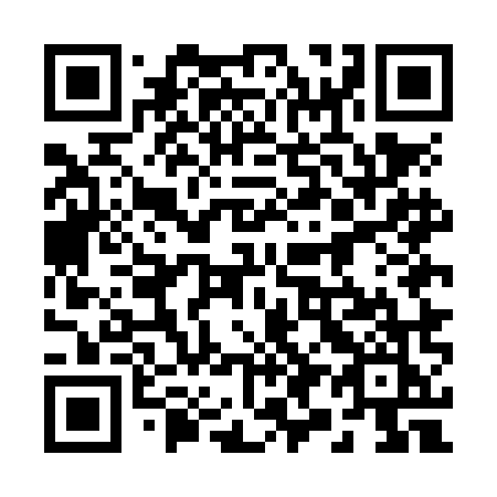 QR code for 295 NMK