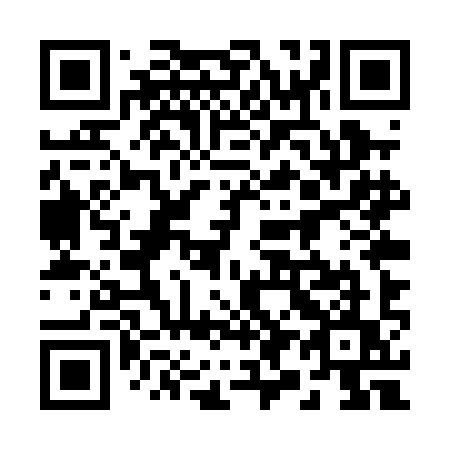 QR code for 295 PIU