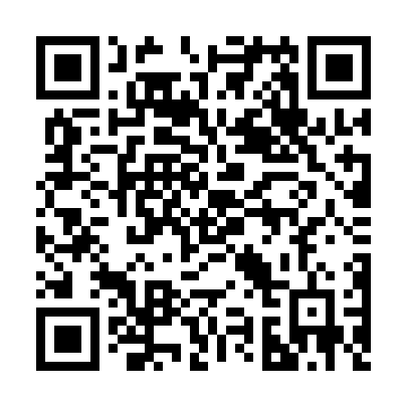 QR code for 295 QND
