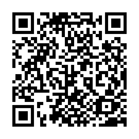 QR code for 295 QQZ
