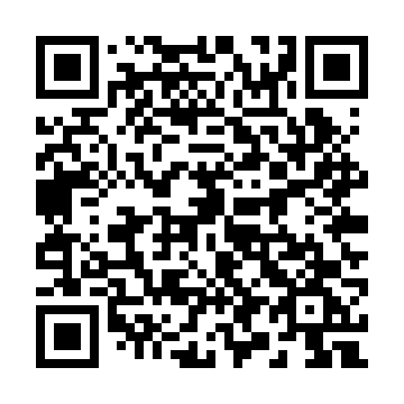 QR code for 295 RVG
