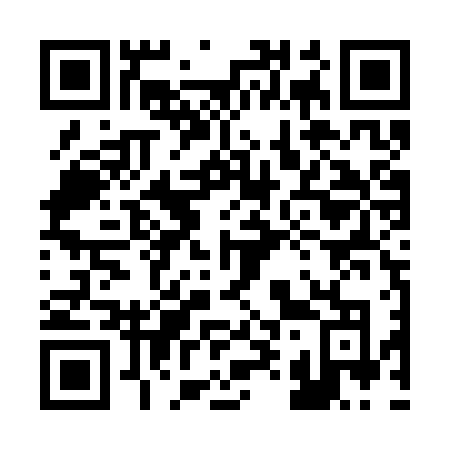 QR code for 295 SVO