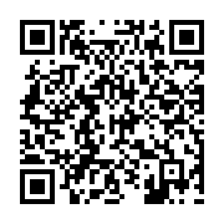 QR code for 295 XID