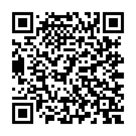 QR code for 295 XLP