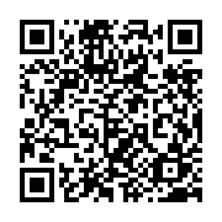 QR code for 295 ZAR