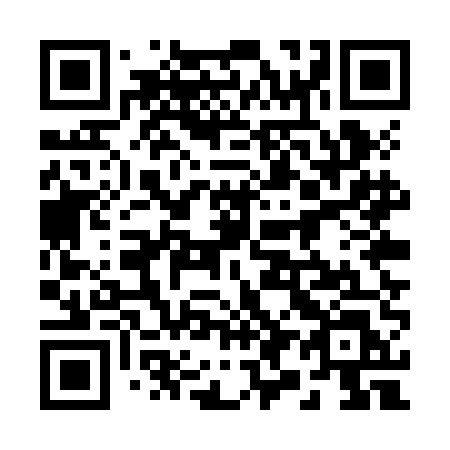 QR code for 295 ZEL