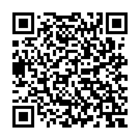 QR code for 295AEM