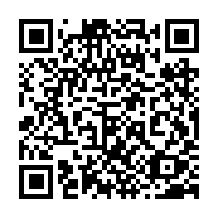 QR code for 295BYY