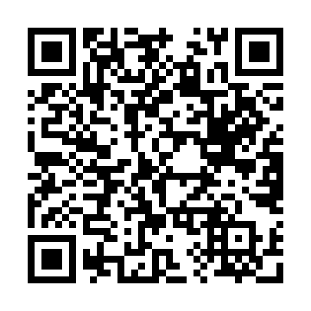 QR code for plate 295 CIP