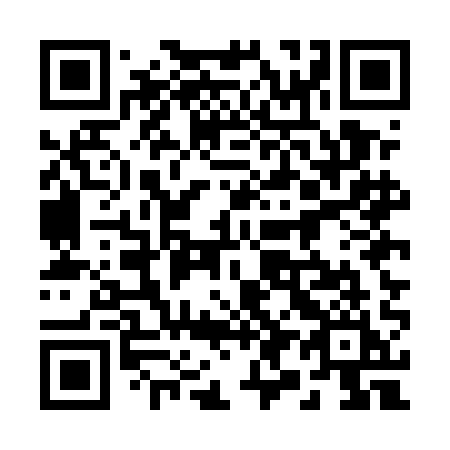 QR code for plate 295 EAI