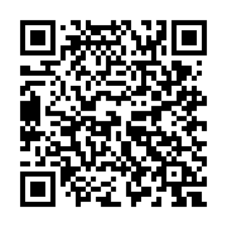 QR code for 295FEA