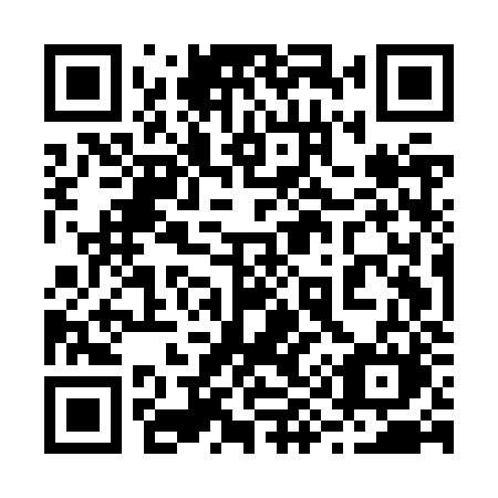 QR code for 295JZM