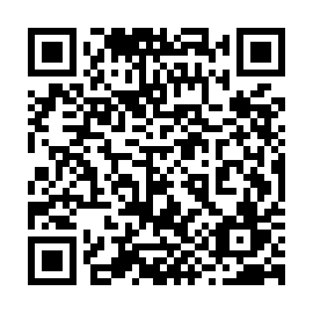 QR code for plate 295 MAV