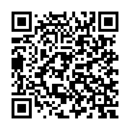 QR code for plate 295 MLJ