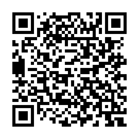 QR code for 295OEJ