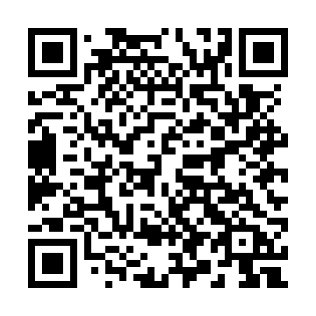 QR code for 295ORB