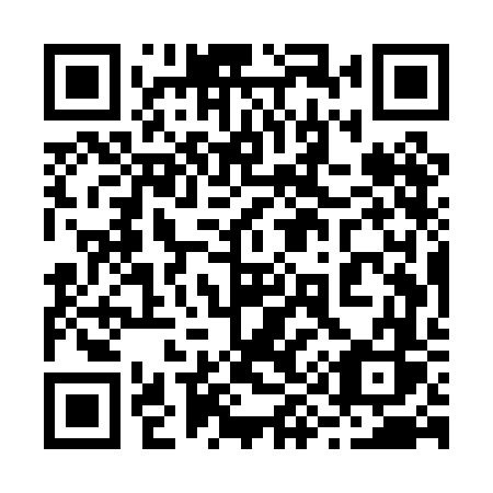 QR code for plate 295 PFS