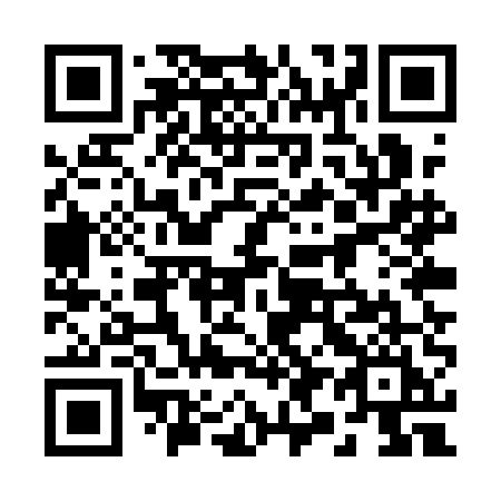 QR code for 295QEI
