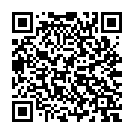 QR code for plate 295 SPS