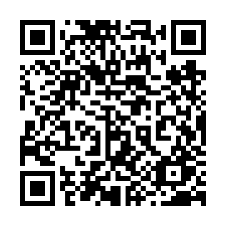 QR code for plate 295 VZW