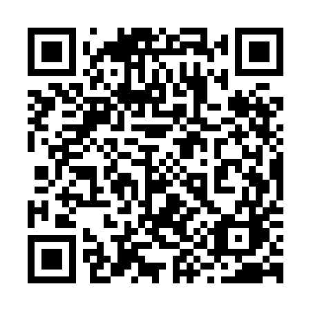 QR code for 295XEC