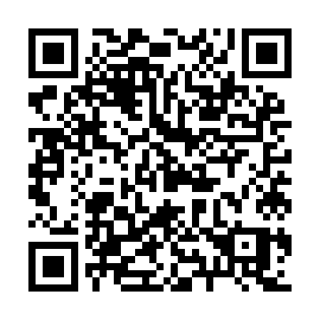 QR code for plate 295 YKQ