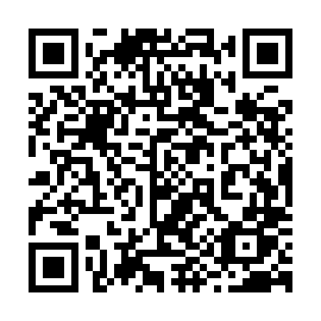 QR code for plate 295 YLP