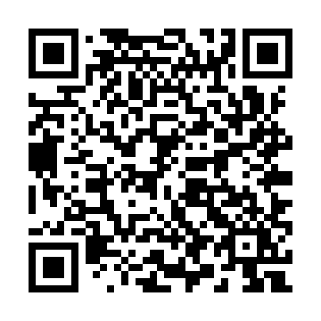 QR code for plate 295 YXY