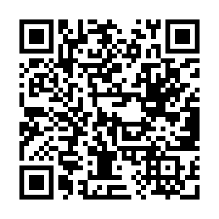 QR code for plate 295 YZS