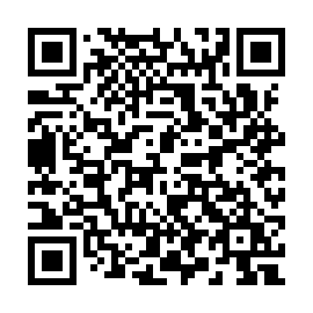 QR code for 297 IRU
